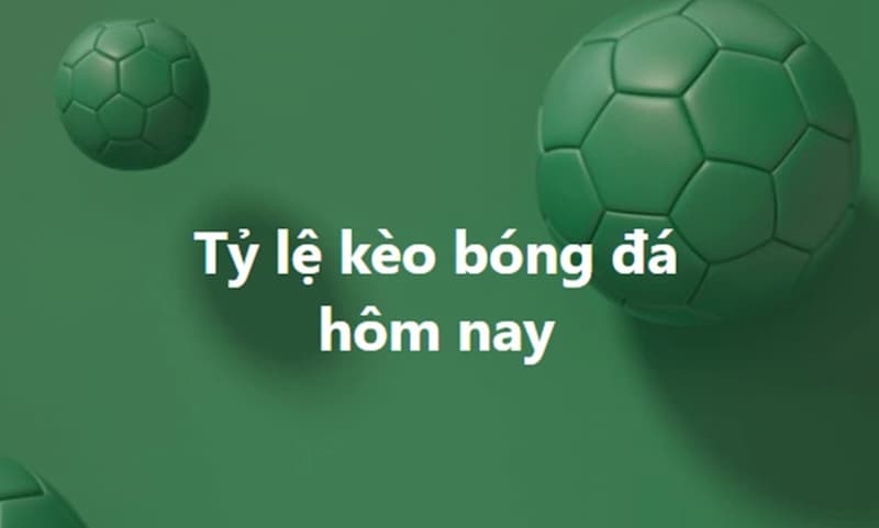 Các chuyên gia có kinh nghiệm 