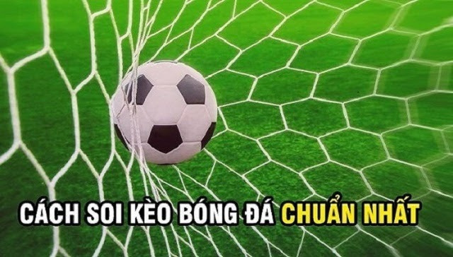 Lợi ích khi soi kèo tại 789club 